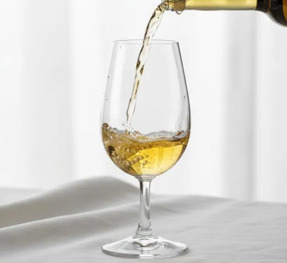 51TtBdY3TsL._AC_SL1024_