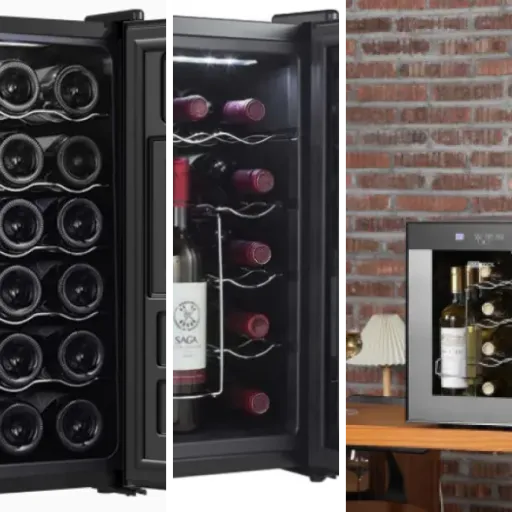 Ranking of the 6 best thermoelectric wine coolers (June 2026)