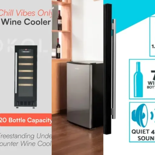 Our selection of the 6 best wine coolers with reversible doors (June 2026)