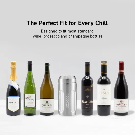 Wine Cooler - Stylish Insulated Wine Bottle Cooler for Red, White, and Champagne - Condensation-Free Design - Great Gifts for Men & Women Insulated Top Wine Cooler Stainless Steel