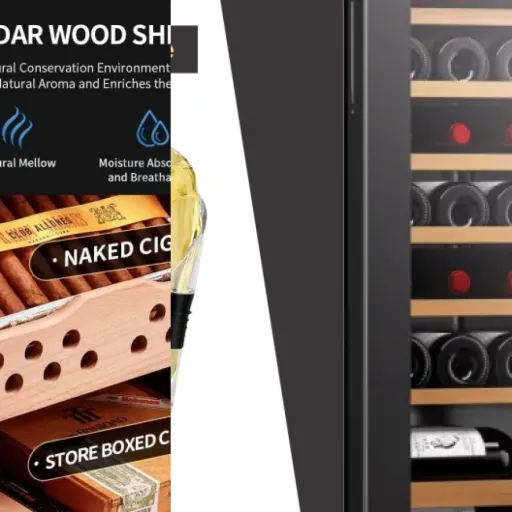 Ranking of the 3 best wine coolers for collectors (June 2026)